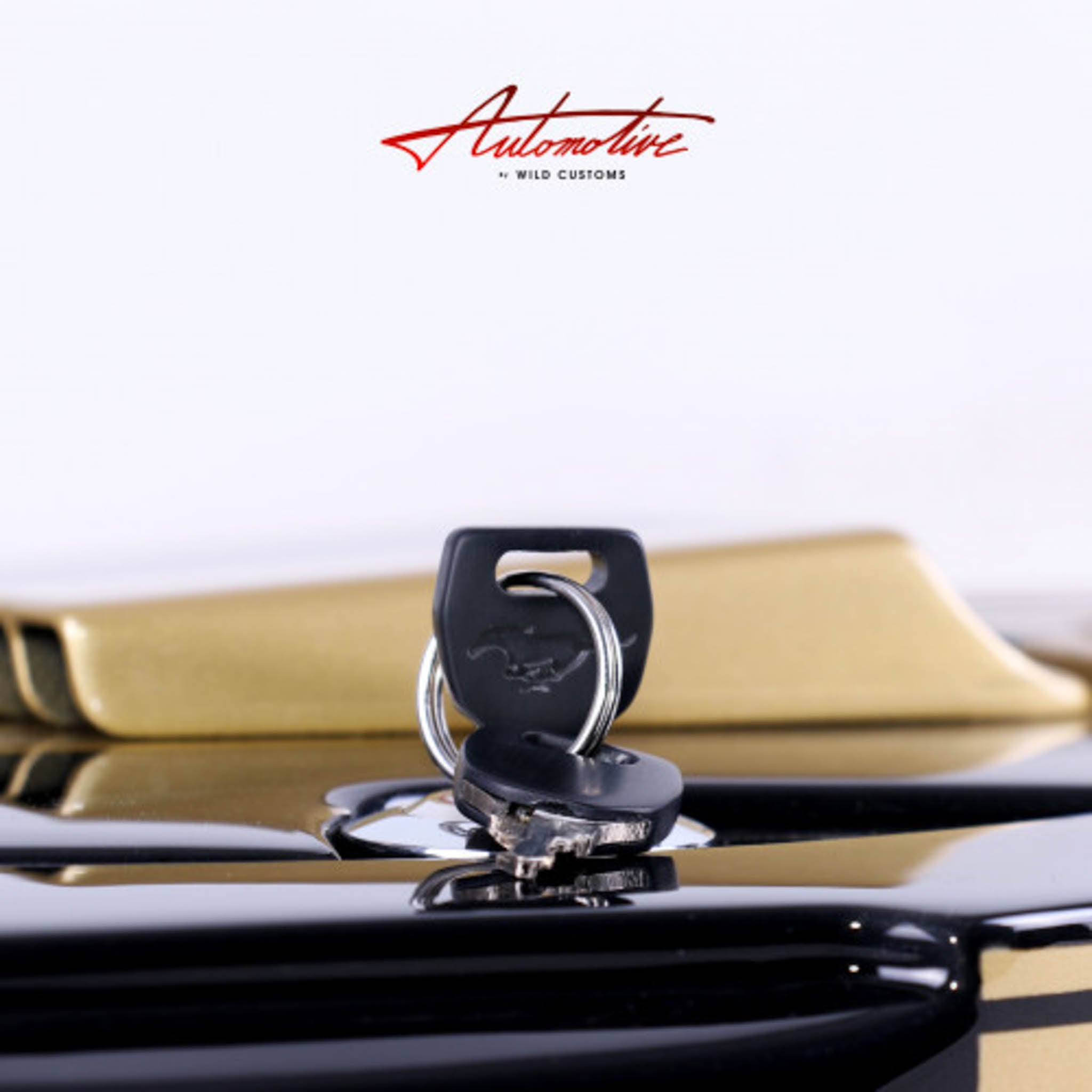 Wild Custom Guitars 1966 FORD MUSTANG GT350H