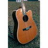 Tagima Juninho Afram EQ Acoustic Guitar Built in Effects and with Deluxe Hardshell Case - El Cajon Guitars and Music