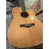 Tagima Juninho Afram EQ Acoustic Guitar Built in Effects and with Deluxe Hardshell Case - El Cajon Guitars and Music