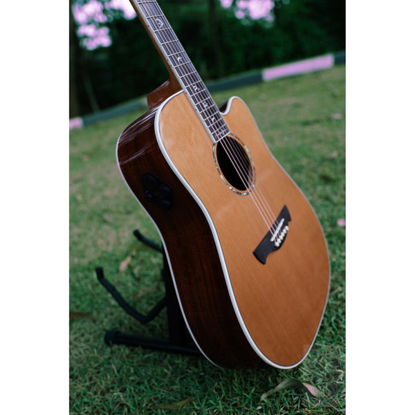 Tagima Juninho Afram EQ Acoustic Guitar Built in Effects and with Deluxe Hardshell Case - El Cajon Guitars and Music