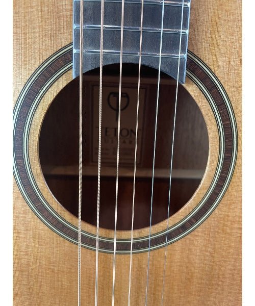 Teton STS105CENT Acoustic Electric Guitar Cutaway With Teton Blackboard Electronics - Solid Cedar Top - El Cajon Guitars and Music