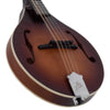 The Loar A Mandolin, Solid Top, Brownburst - El Cajon Guitars and Music