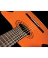 Washburn C5CE Classical Cutaway Acoustic Electric Guitar - El Cajon Guitars and Music