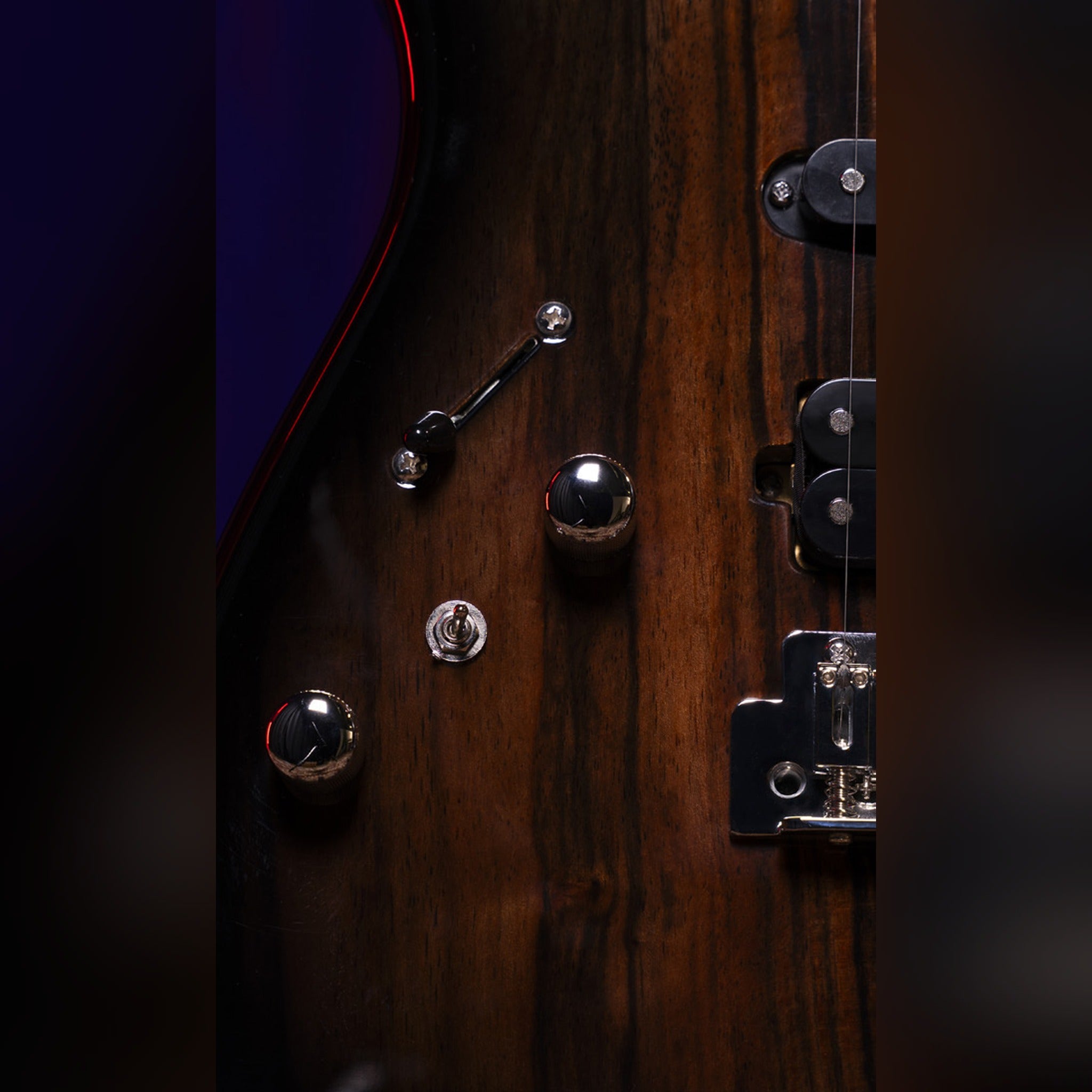 Washburn Sonamaster Elite SE3SEN-U Striped Ebony Natural striped ebony top and controls detail