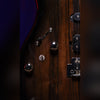 Washburn Sonamaster Elite SE3SEN-U Striped Ebony Natural striped ebony top and controls detail